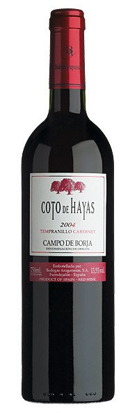 Coto de Hayas Tempranillo Cabernet 2006