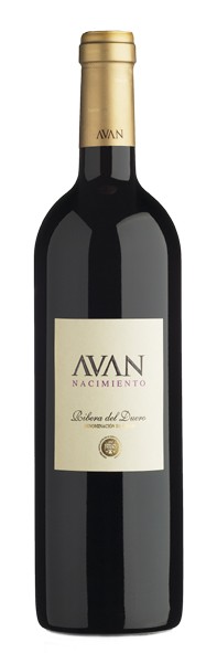 AVAN Nacimiento 2007