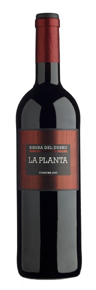 La Planta 2008