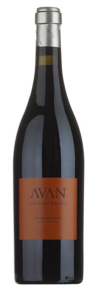 AVAN Viñedo del Torrubio 2010