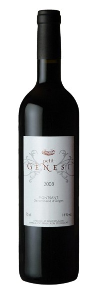 Petit Gènesi 2012