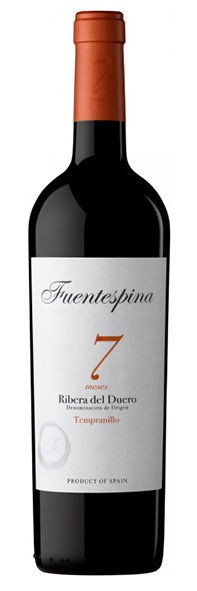 Fuentespina 7 2018