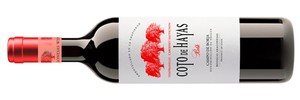 Coto de Hayas Tempranillo Cabernet 2016